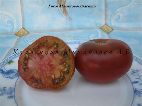 Гном Малиново-Красный