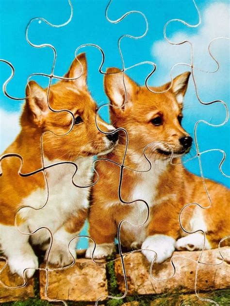 Penelope Puzzle Hund Chien Corgi Lassie X Pces Kaufen Auf Ricardo