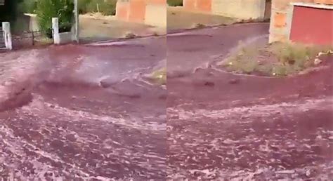 'Wine flood': A town in Portugal gets flooded with red wine after ...