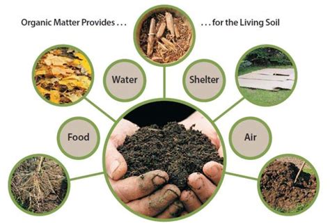 Step-by-step guide to effective crop residue management | Shapiro