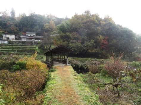 Discover the Satoyama Landscape in Uchiko