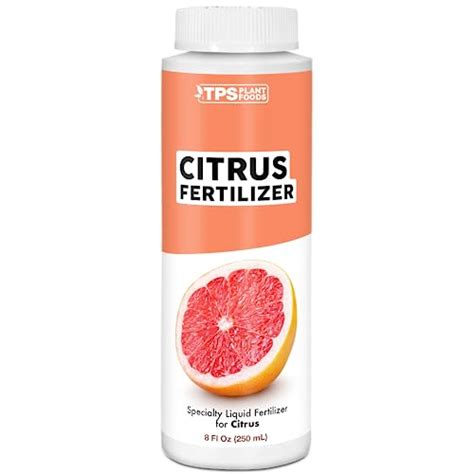 Top 5 Best Citrus Tree Fertilizer 2024 Pixelfy Blog