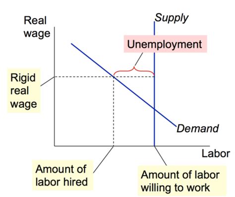 Unemployment And The Labor Market Flashcards Quizlet