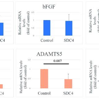 Analysis Of Mrna Expression In Cultured Cells Mmp N Adamts