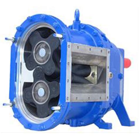 Rotary Lobe Pump Advantages and Applications - Engineered Systems ...