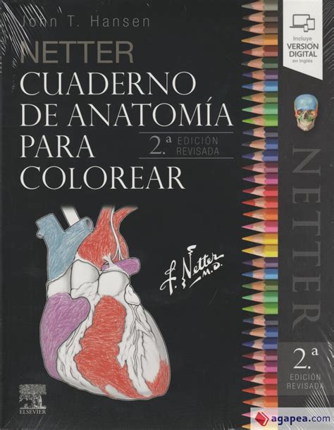 NETTER CUADERNO DE ANATOMIA PARA COLOREAR 2ª ED 9788491134015