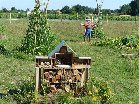 Comment Devenir Horticulteur