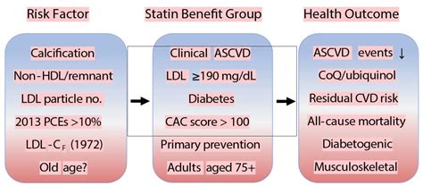 Jcm Free Full Text Statin Treatment In Specific Patient Groups Role For Improved