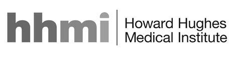 Data Visualization Platform For The Howard Hughes Medical Institute