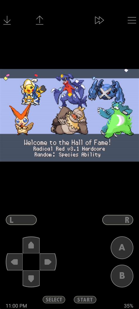Hardcore Randomizer R Pokemonradicalred