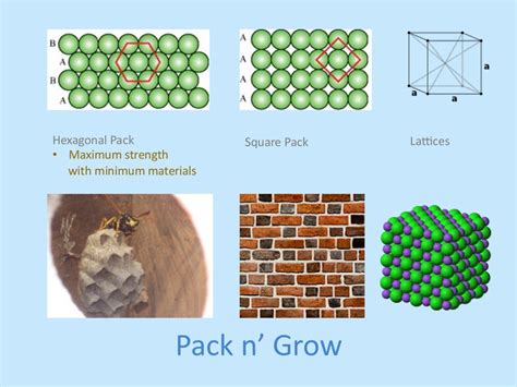 Seeing Math Patterns in Nature