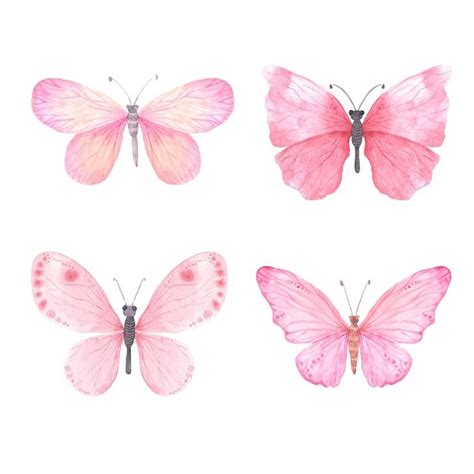 Conjunto De Clipart De Borboletas Em Aquarela Rosa Brilhante Vetor