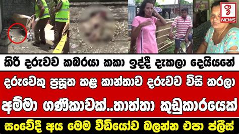 කිරි දරුවව කබරයා කකා ඉද්දී දැකලා දෙයියනේ දරුවෙකු ප්‍රසූත කළ කාන්තාවක්