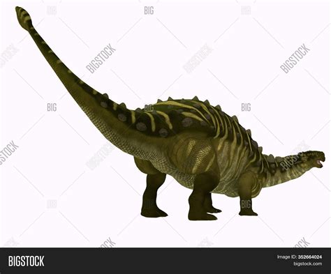 Talarurus Dinosaur Image And Photo Free Trial Bigstock