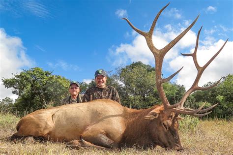 Texas Draw Hunts Preference Points Draw It Out