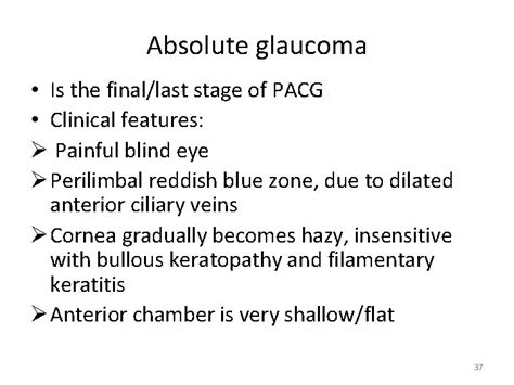 Primary Angle Closure Glaucoma Dr Ajai Agrawal Additional