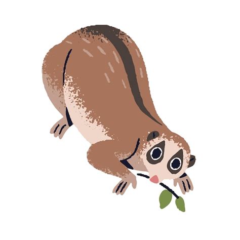 Premium Vector Slow Lorises On Tree Branch Cute Lemur With Big Eyes Funny Exotic Primate