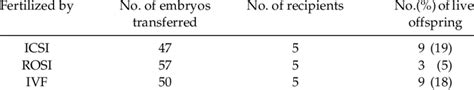 In Vivo Development Of Hamster Embryos Fertilized By Icsi Rosi And Ivf