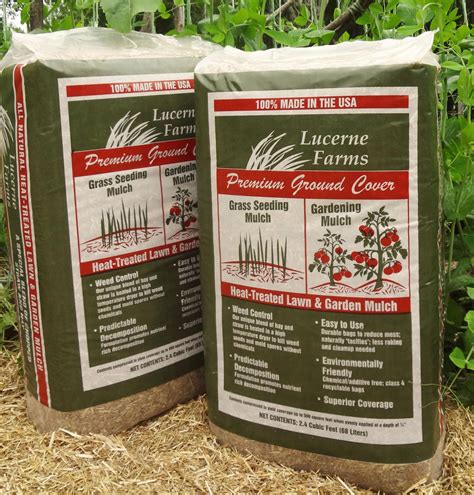 premium ground cover  lucerne farms