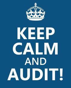 31 Audit Memes ideas | audit, accounting humor, internal audit