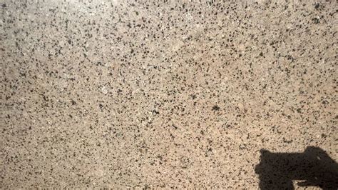 Malwada Gold Granite For Flooring At Sq Ft In Vadodara Id