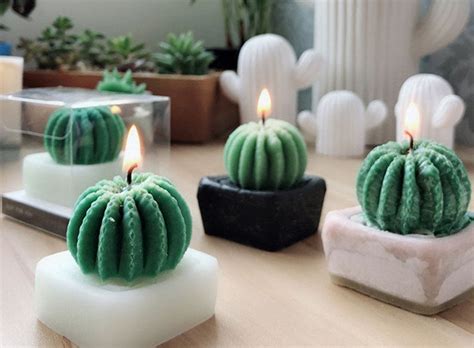 D Cactus Candle Mold Succulent Plants Molds Silicone Mold For Etsy