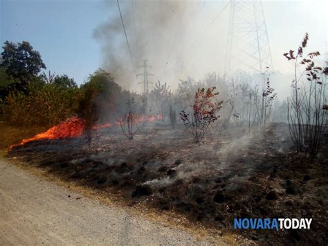 Altro A Cameri In Via Ticino Incendio Nel Parco Del Ticino Tra