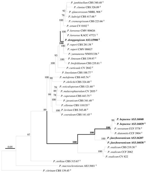 Three New Penicillium Species Isolated From The Tidal Flats Of China