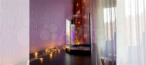Аквариум 20 литров купить в Москве | Животные и зоотовары | Авито