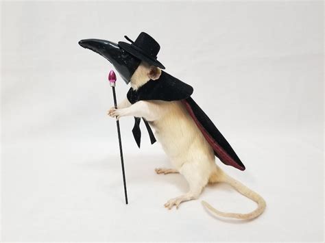 Taxidermy Gaff Plague Doctor Rat Etsy