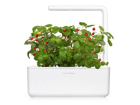 Smart Garden Click Grow