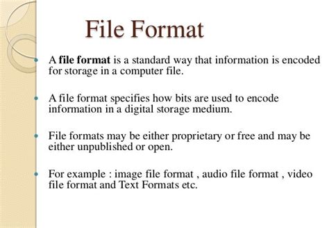 File Formats And Its Types