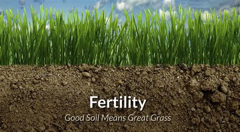 Fertile Soil