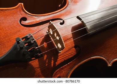 Classic Violine Stock Photo Shutterstock