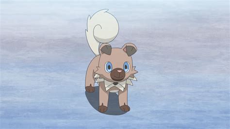 Murdocks Rockruff Pokémon Wiki Fandom