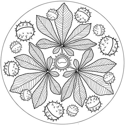 Fab Autumn Fall Mandala Free Printable Perfect For Colouring In