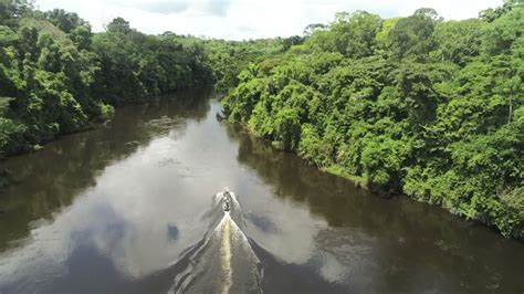 Guyane Exp Dition Aux Monts Tumuc Humac Youtube