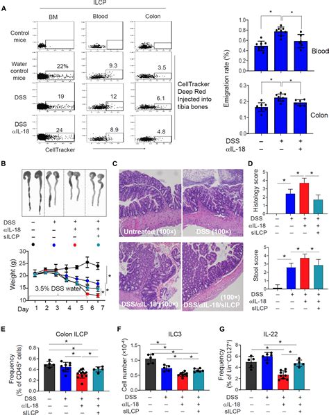 Identification Of The Niche And Mobilization Mechanism For Tissue