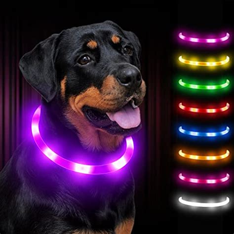 Best Glow In The Dark Dog Collars To Light Up Your Nighttime Walks