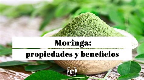 Moringa Beneficios Y Propiedades Del árbol De La Vida Youtube