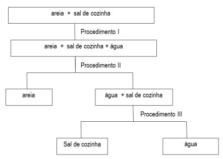 Blog de Biologia Questão de Ciências COLUNI UFV 2017 Analise