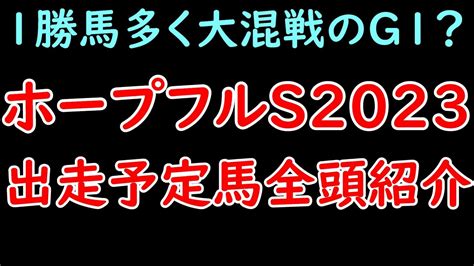 ホープフルs2023出走予定馬を全頭紹介！1勝馬がほとんどで大混戦！？主役はゴンバデカーブースとシンエンペラー！？【ホープフルステークス