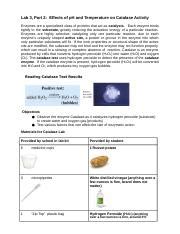 Bio Catalase Lab Handout Spring Docx Lab Part Effects