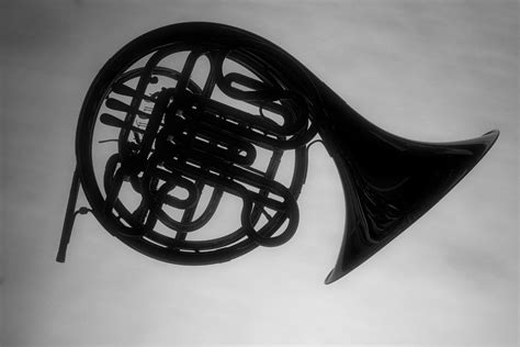 French Horn Silhouette Photograph by M K Miller