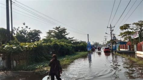 Banjir Rob Terjang Pekalongan Pemkot Pastikan Pemenuhan Air Bersih