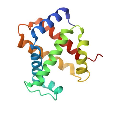 Rcsb Pdb Shr Crystal Structure Of Ferrocyanide Bound Human