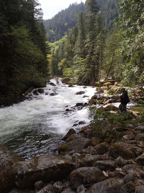 Creeks Near Me To Fish Brian Mccallum