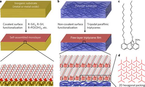 Schematic Illustrations Of The Surface Functionalization Of Solid