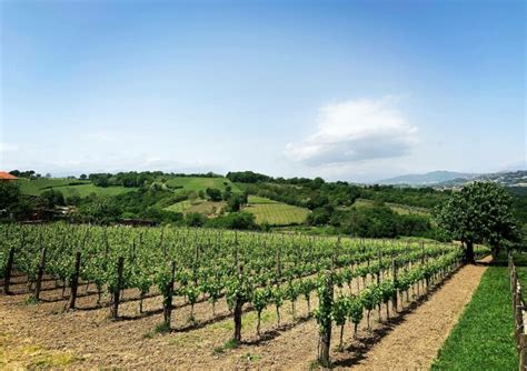 10 best wine tours & tastings in Italy 2022 | Winetourism.com