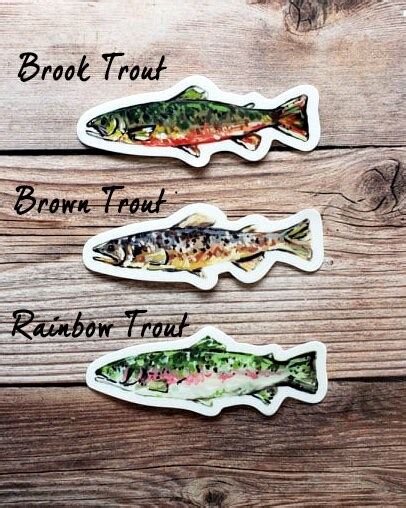 Trout Vinyl Sticker Trout Fish Water Bottle Sticker Brook Etsy